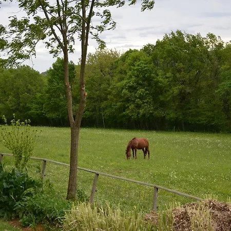 Bed & Breakfast La Gueriniere *