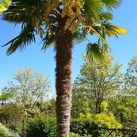 Panzió La Gueriniere