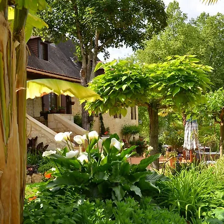 Bed & Breakfast La Gueriniere Cenac-et-Saint-Julien