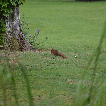 Panzió La Gueriniere